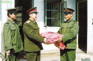 把履行使命当作最高追求——杨业功将军纪事