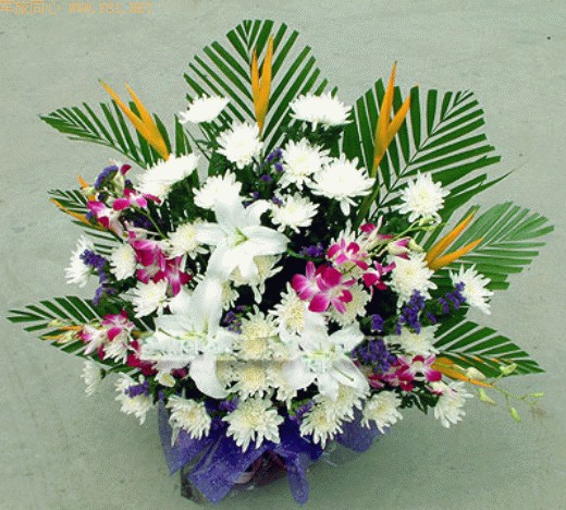 引用 迄今为止烈属从未前来扫墓的烈士名单(麻栗坡烈士陵园) - 兰迅 - 兰迅博客