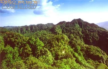 白马山原始森林