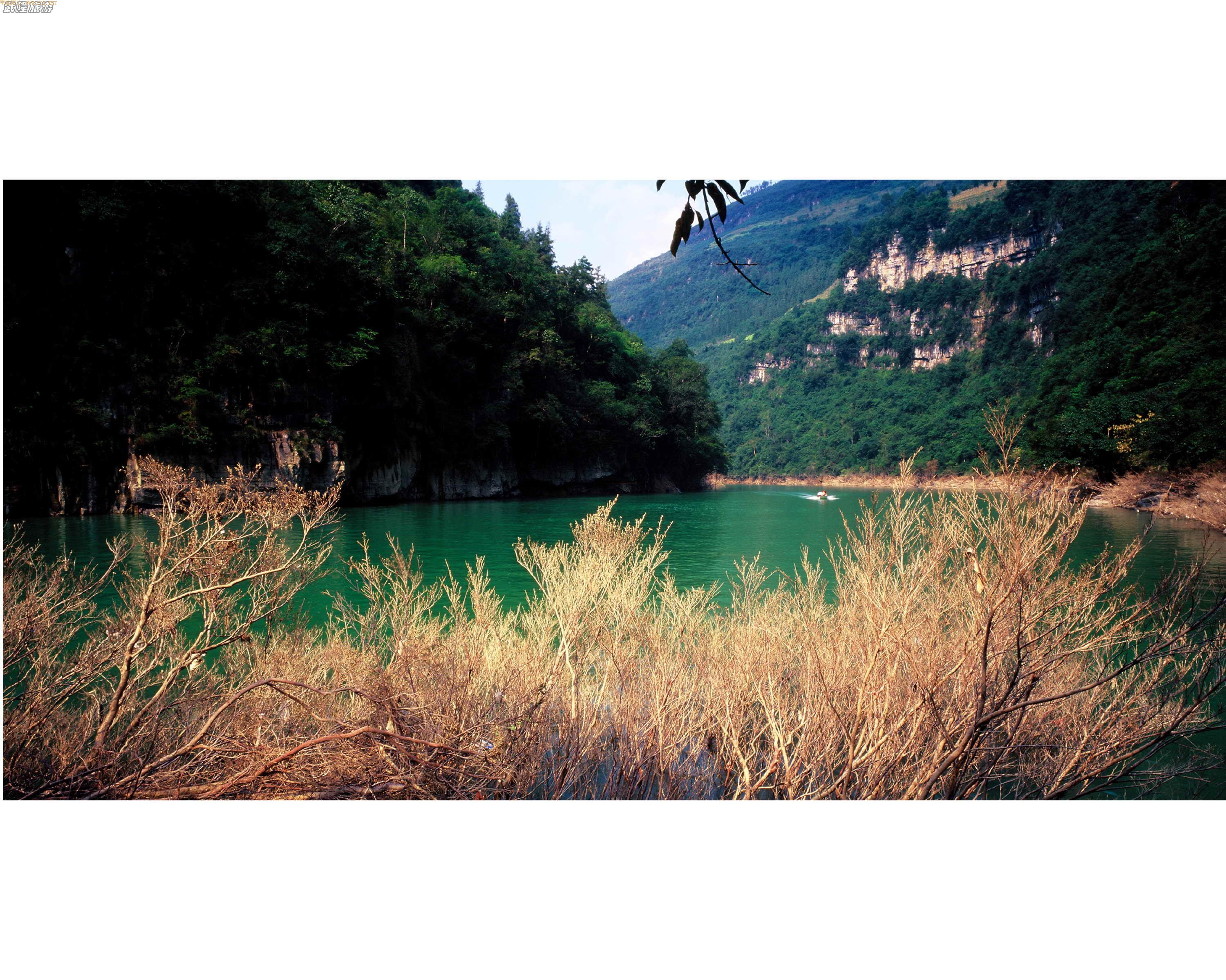 ܽ�ؽ���Ͽ��