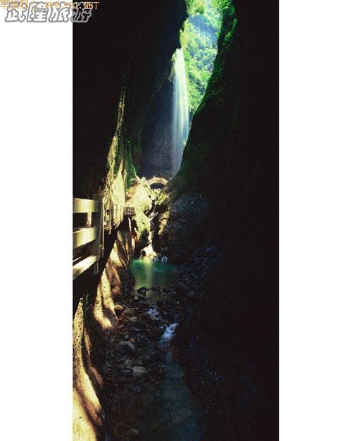 �����ٲ�