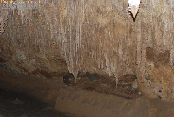 ����Ȼ֮�����񹤡�ܽ�ض���