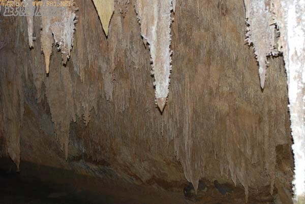 ����Ȼ֮�����񹤡�ܽ�ض���