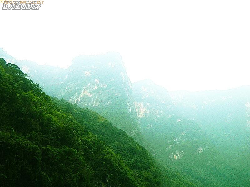 �������˵�ܽ�ؽ�