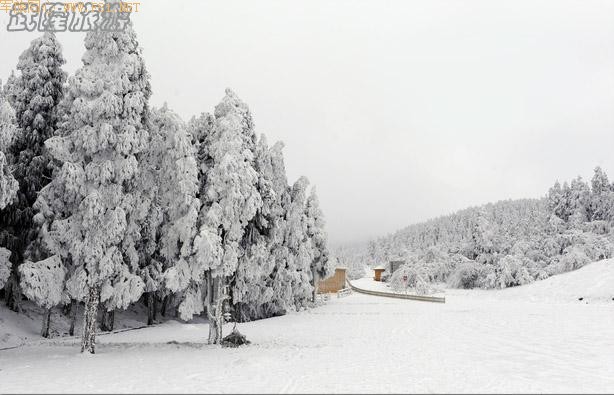 ��ױ�ع����ɾ�-��Ůɽ