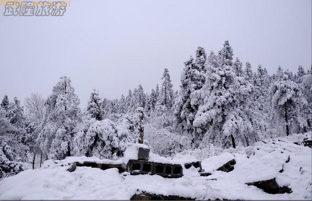 ��ױ�ع����ɾ�-��Ůɽ