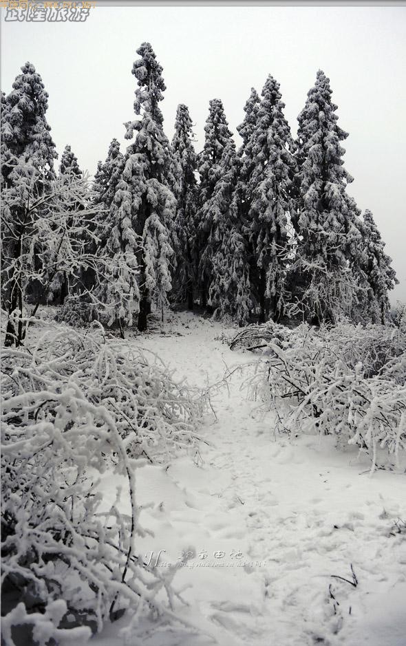 ��ױ�ع����ɾ�-��Ůɽ