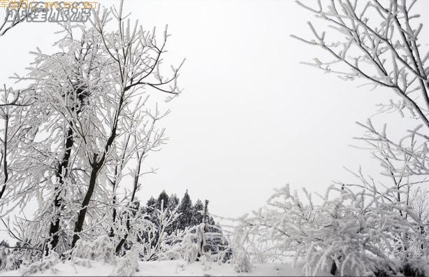 ��ױ�ع����ɾ�-��Ůɽ