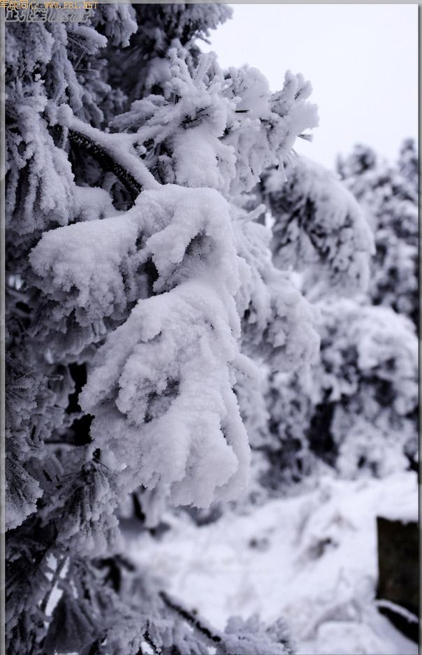 ��ױ�ع����ɾ�-��Ůɽ