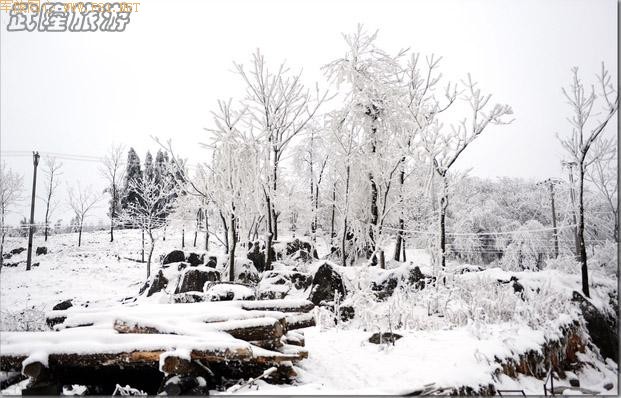 ��ױ�ع����ɾ�-��Ůɽ