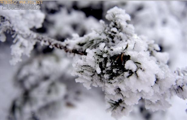 ��ױ�ع����ɾ�-��Ůɽ