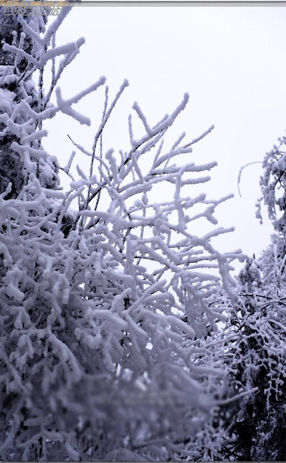 ��ױ�ع����ɾ�-��Ůɽ