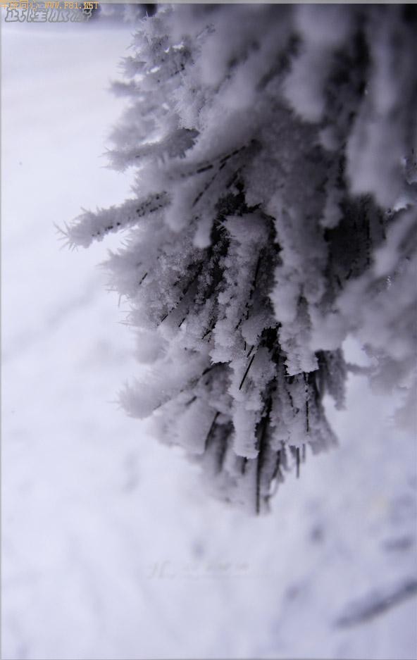 ��ױ�ع����ɾ�-��Ůɽ