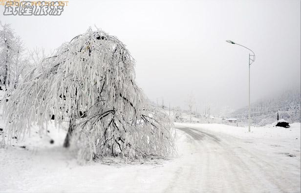 ��ױ�ع����ɾ�-��Ůɽ