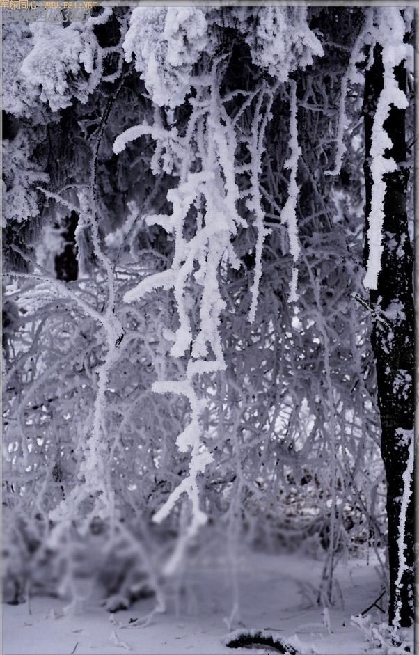 ��ױ�ع����ɾ�-��Ůɽ