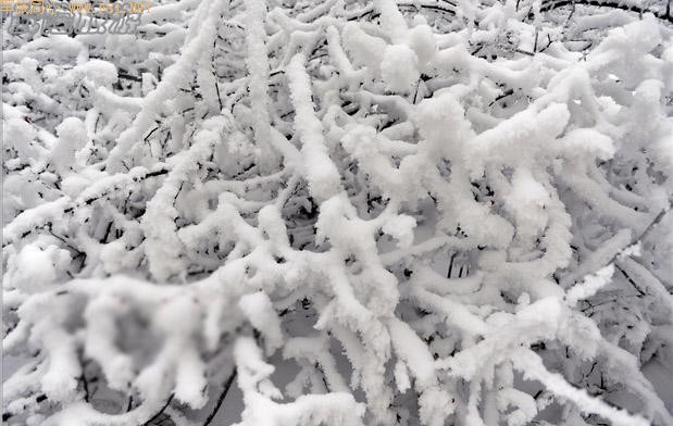 ��ױ�ع����ɾ�-��Ůɽ