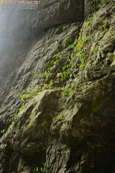 �������������~