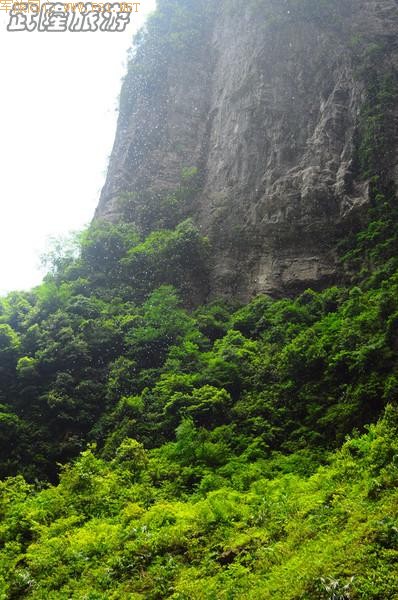 �������������~