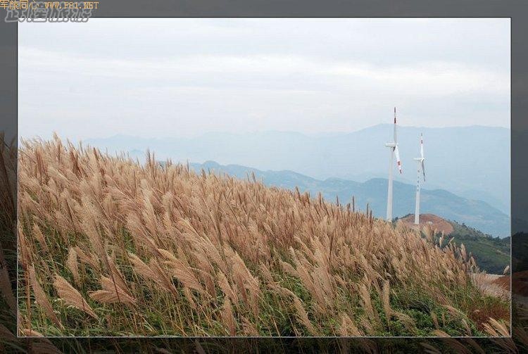 ��¡��Ժƺ�糵����