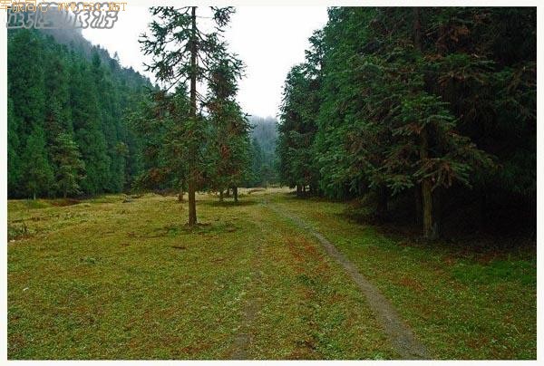 ��ʫ�续�ġ���¡�λùȡ�