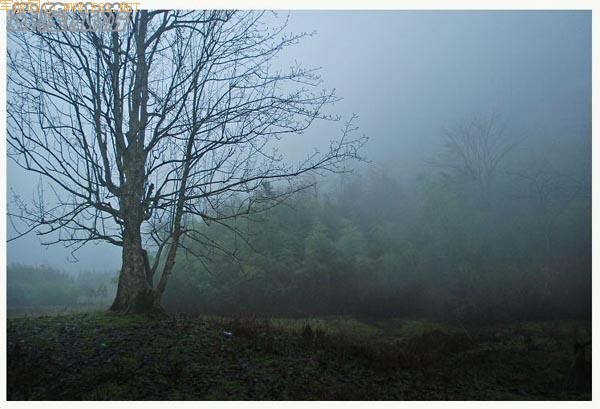 ��ʫ�续�ġ���¡�λùȡ�