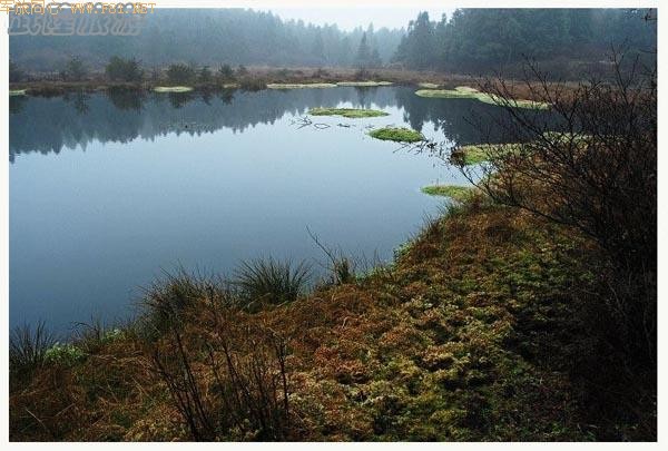 ��ʫ�续�ġ���¡�λùȡ�