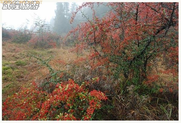 ��ʫ�续�ġ���¡�λùȡ�