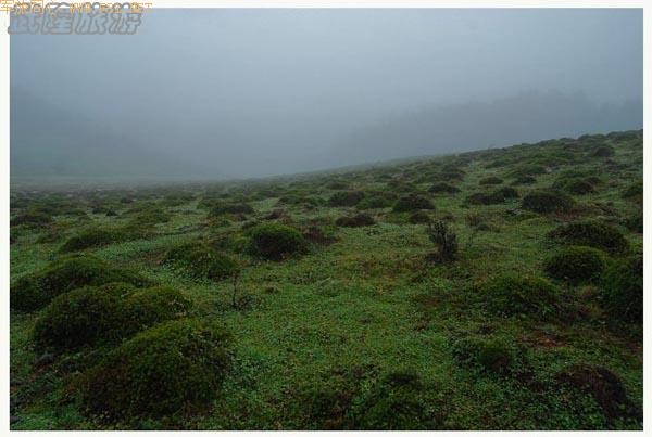 ��ʫ�续�ġ���¡�λùȡ�