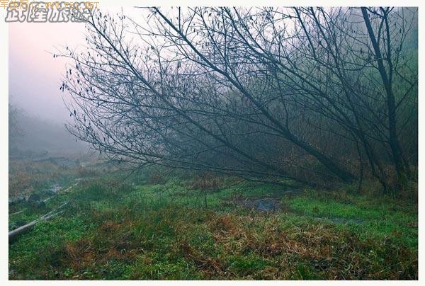 ��ʫ�续�ġ���¡�λùȡ�