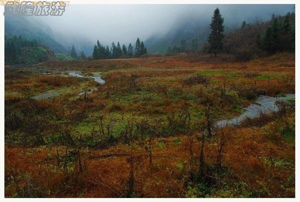 ��ʫ�续�ġ���¡�λùȡ�