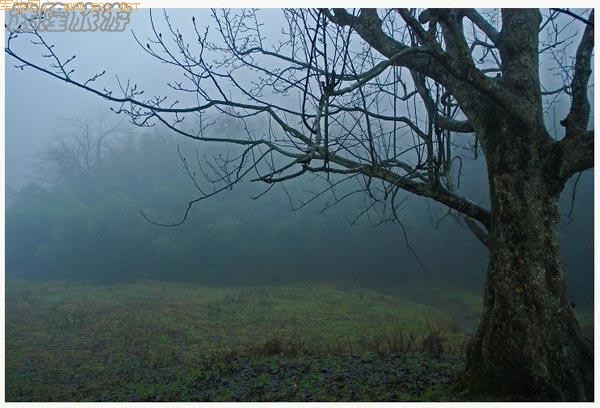 ��ʫ�续�ġ���¡�λùȡ�