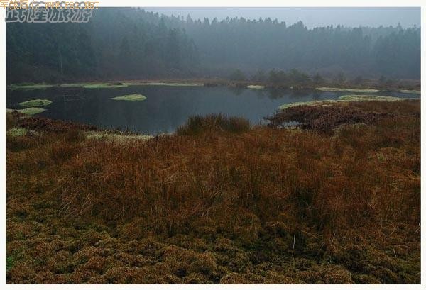 ��ʫ�续�ġ���¡�λùȡ�