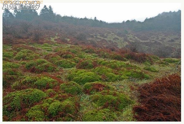 ��ʫ�续�ġ���¡�λùȡ�