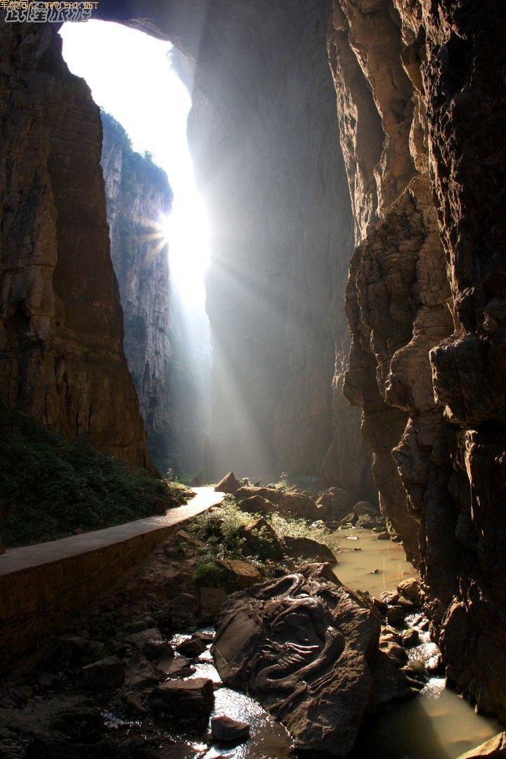 �ɾ������¡