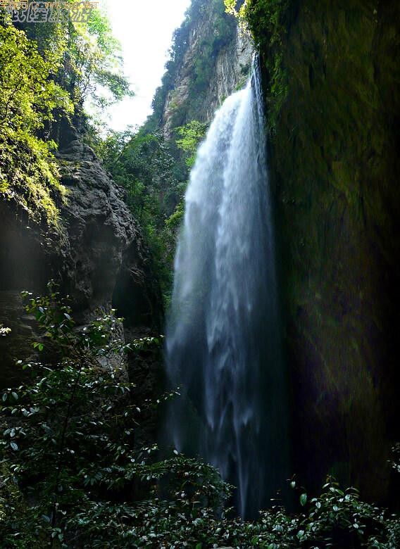 �ɾ������¡