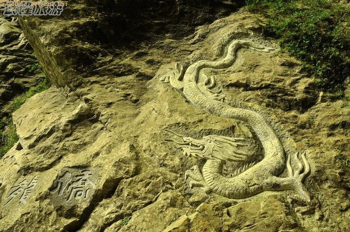 �ɾ������¡