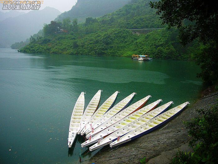 �������ʵ�ܽ�ؽ�