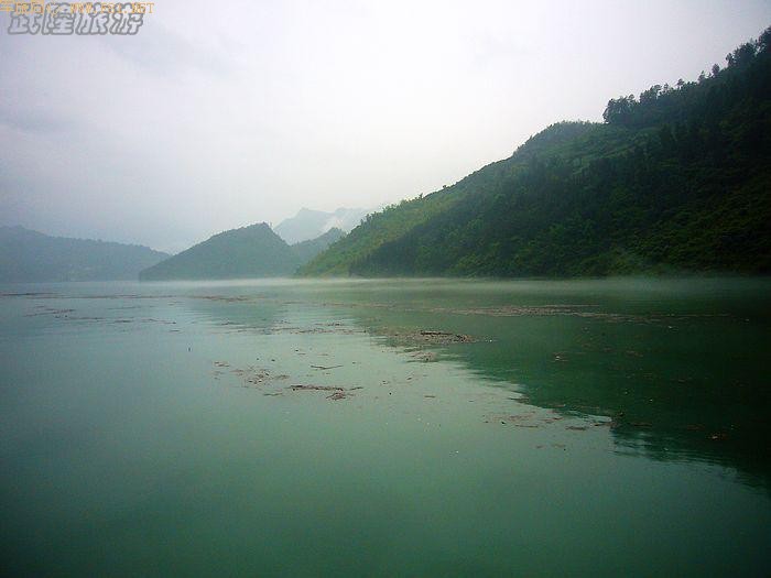 �������ʵ�ܽ�ؽ�