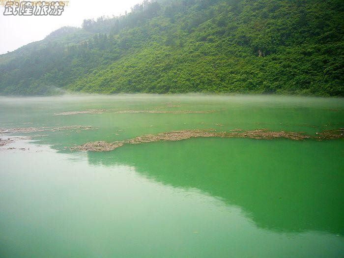 �������ʵ�ܽ�ؽ�