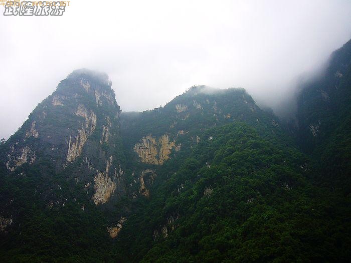 �������ʵ�ܽ�ؽ�