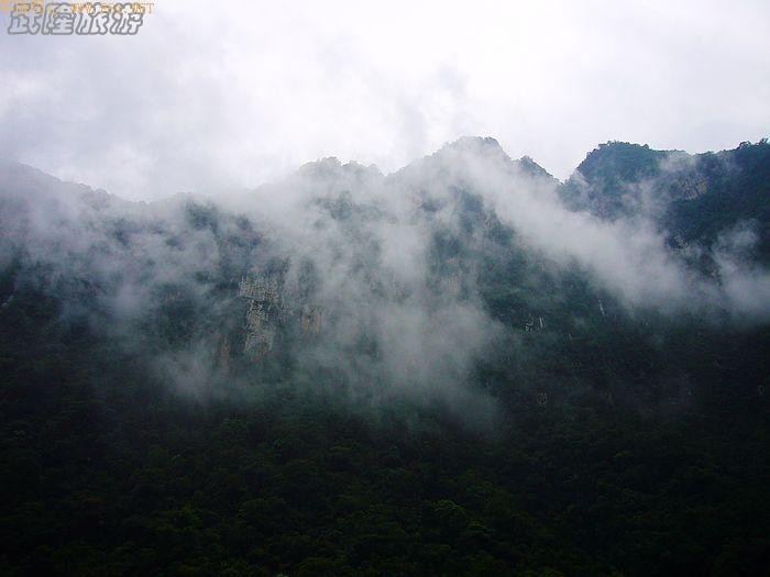 �������ʵ�ܽ�ؽ�