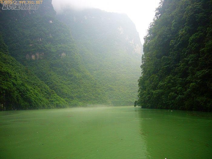 �������ʵ�ܽ�ؽ�