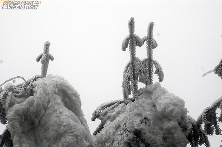 ��Ůɽ������ѩ��