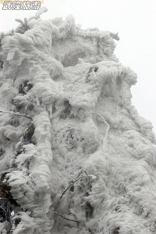 ��Ůɽ������ѩ��