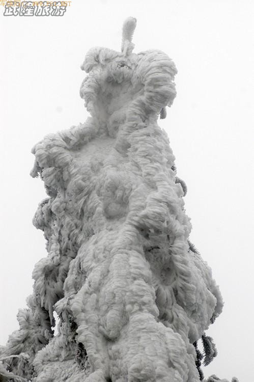 ��Ůɽ������ѩ��