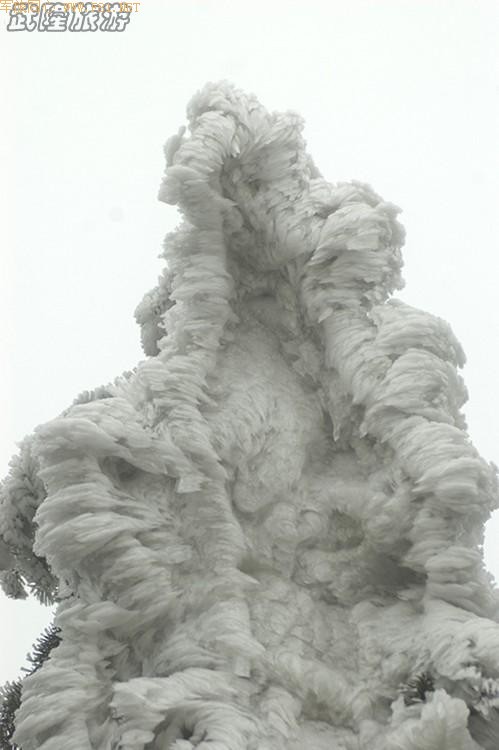 ��Ůɽ������ѩ��