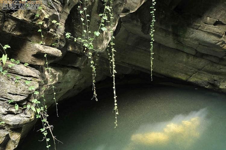 ����������Ϣ