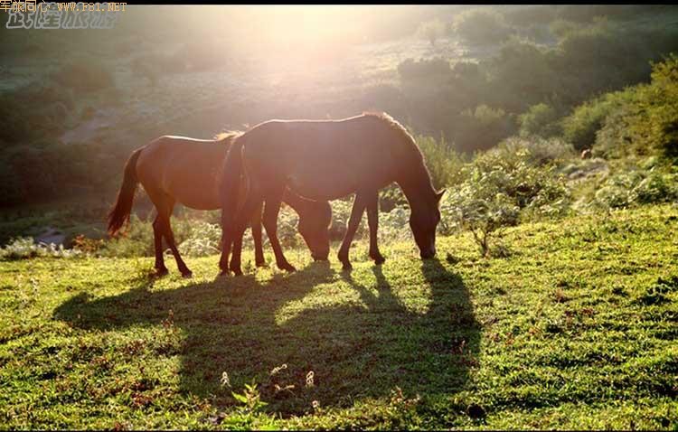 ����������Ϣ