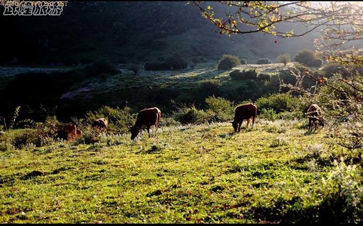 ����������Ϣ