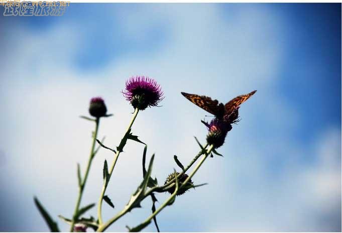 ����������Ϣ